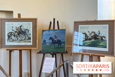Tous en piste ! à Maisons-Laffitte (78): poneys, calèche et spectacles équestres gratuits au château - IMG 8190 jpg