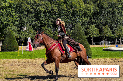 Tous en piste ! à Maisons-Laffitte (78): poneys, calèche et spectacles équestres gratuits au château - IMG 8372 jpg