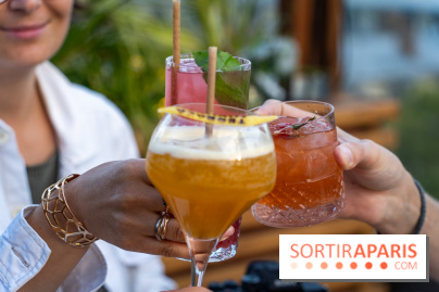 Terraza Mikuna : le rooftop du BHV Marais