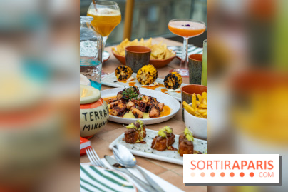 Terraza Mikuna : le rooftop du BHV Marais