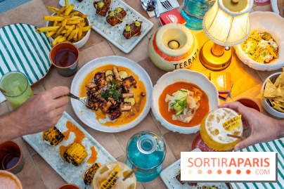 Terraza Mikuna : le rooftop du BHV Marais