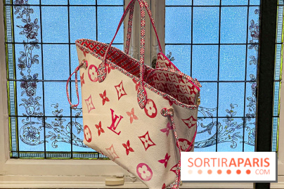 Exposition Louis Vuitton Cornette de Saint Cyr - IMG 8207 jpg