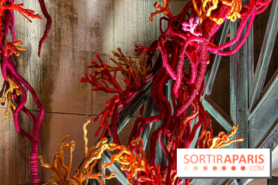 Paris Design Week 2025 - IMG 7308 jpg