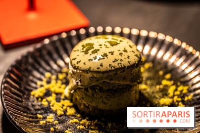 Aqua Kyoto Paris, le rooftop japonais sur les Champs-Elysées - photos - A7C07335