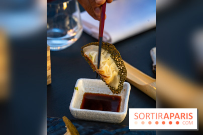 Aqua Kyoto Paris, le rooftop japonais sur les Champs-Elysées - photos - A7C07277