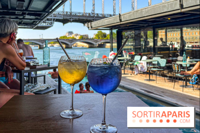 Bar du OFF Paris Seine - 18465835 FB1D 4C40 9C9B A8BB64A83D12