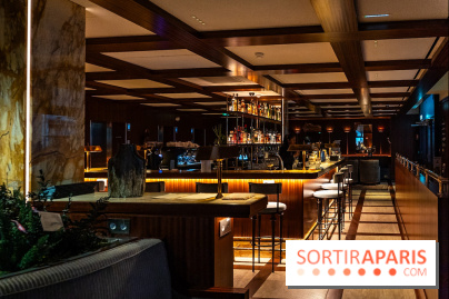 Le Dîner Renversé des Grands Voyageurs - bar