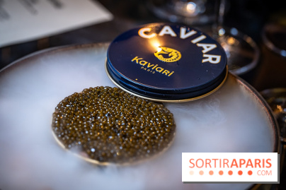 Le Dîner Renversé des Grands Voyageurs - Caviar