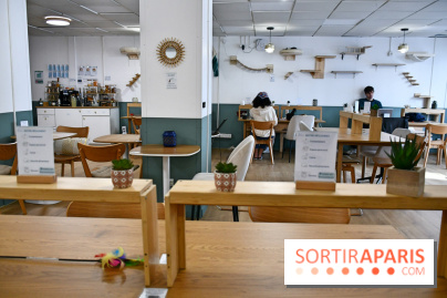 Koneko Work : le café coworking pour travailler en compagnie des chats - DSC 5247