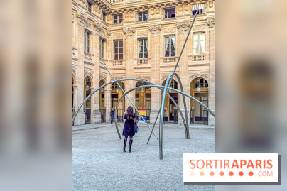 Saison Brésil-France 2025 : sculptures contemporaines au Palais-Royal - IMG 7309