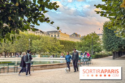 Saison Brésil-France 2025 : sculptures contemporaines au Palais-Royal - IMG 7337