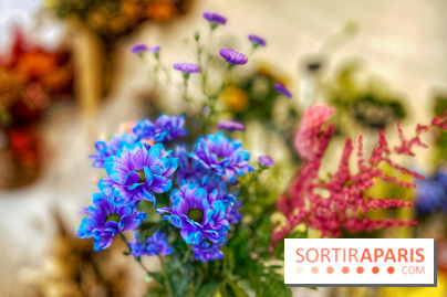 Les filles d'à côté - IMG 5229