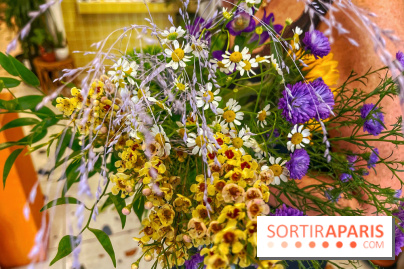 Les filles d'à côté - IMG 5233