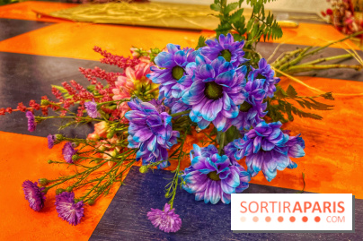 Les filles d'à côté - IMG 5240