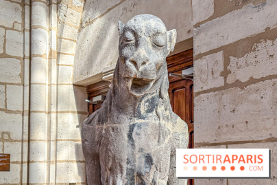 Visite des tours de Notre-Dame de Paris - IMG 7440