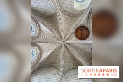 Visite des tours de Notre-Dame de Paris - IMG 7443