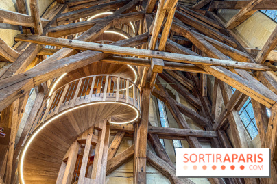 Visite des tours de Notre-Dame de Paris - IMG 7450