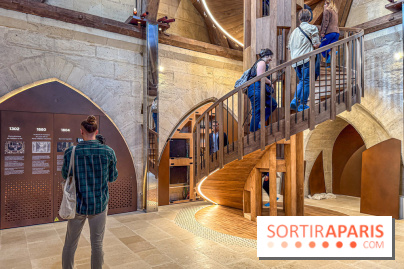 Visite des tours de Notre-Dame de Paris - IMG 7456