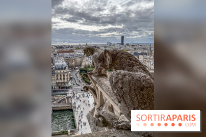 Visite des tours de Notre-Dame de Paris - IMG 7458