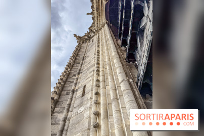 Visite des tours de Notre-Dame de Paris - IMG 7459