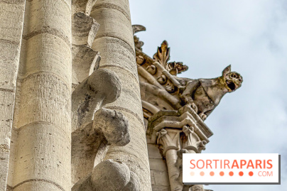 Visite des tours de Notre-Dame de Paris - IMG 7462