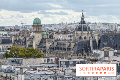 Visite des tours de Notre-Dame de Paris - IMG 7465