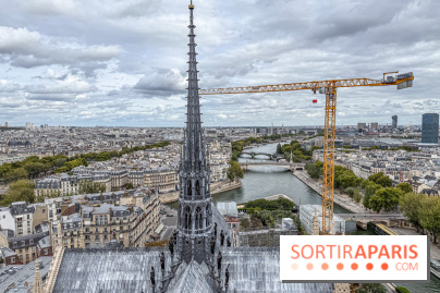 Visite des tours de Notre-Dame de Paris - IMG 7471