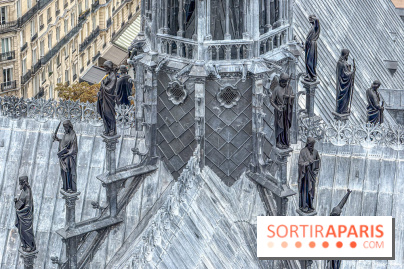 Visite des tours de Notre-Dame de Paris - IMG 7481