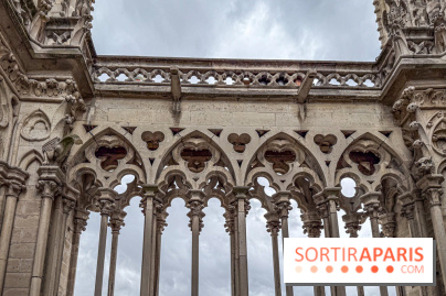 Visite des tours de Notre-Dame de Paris - IMG 7504