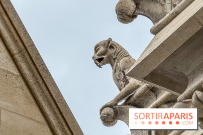 Visite des tours de Notre-Dame de Paris - IMG 7508