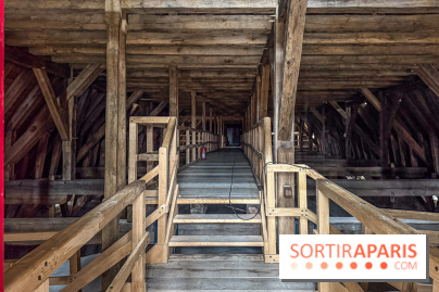 Visite des tours de Notre-Dame de Paris - IMG 7511