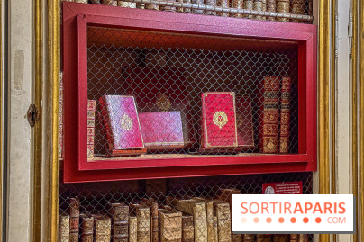 Exposition “Excellences !” à la Bibliothèque Choiseul de Versailles - IMG 7563