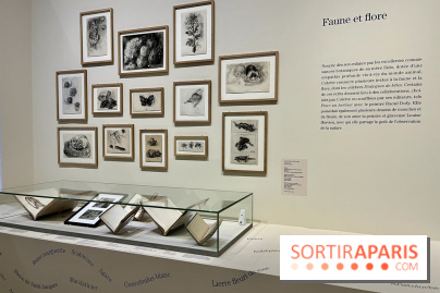 Les mondes de Colette - IMG 5332