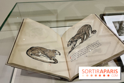 Les mondes de Colette - IMG 5333