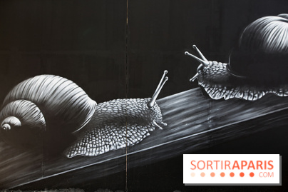 Festival de street art d'Antony 2025, nos photos 