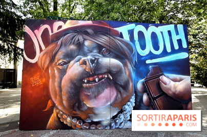 Festival de street art d'Antony 2025, nos photos