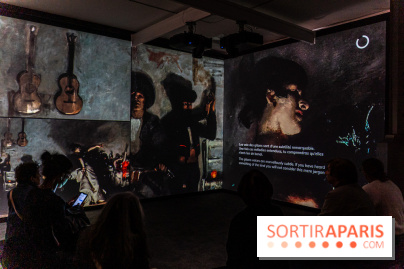 Exposition John Singer Sargent 'Éblouir Paris' au Musée d'Orsay - A7C08028