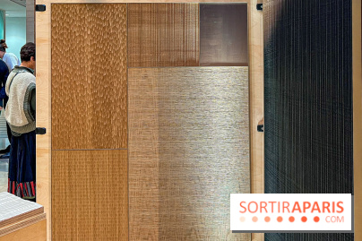 Salon Artisans d'Excellence 2024 - IMG 7897 jpg