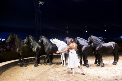 Campagne #35169 - FG 09 07 2025 OBRAJON 0066