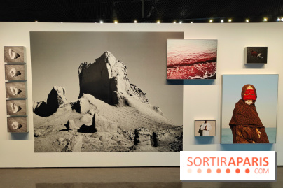 Honda Afshar, performer l'invisible : une exposition photo au musée du Quai Branly - fotor 1759154799777