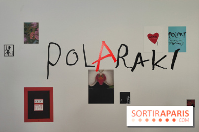 Polaraki, mille polaroids d'Araki Nobuyoshi : l'exposition du musée Guimet se dévoile