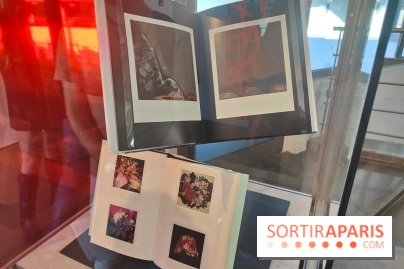 Polaraki, mille polaroids d'Araki Nobuyoshi : l'exposition du musée Guimet se dévoile