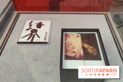 Polaraki, mille polaroids d'Araki Nobuyoshi : l'exposition du musée Guimet se dévoile