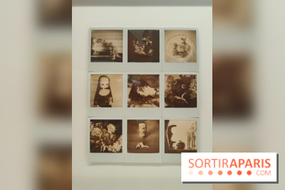 Polaraki, mille polaroids d'Araki Nobuyoshi : l'exposition du musée Guimet se dévoile