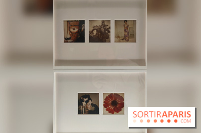 Polaraki, mille polaroids d'Araki Nobuyoshi : l'exposition du musée Guimet se dévoile - fotor 1759249674126