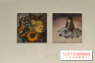 Polaraki, mille polaroids d'Araki Nobuyoshi : l'exposition du musée Guimet se dévoile - fotor 1759249700856