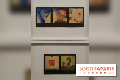 Polaraki, mille polaroids d'Araki Nobuyoshi : l'exposition du musée Guimet se dévoile - fotor 1759249727646
