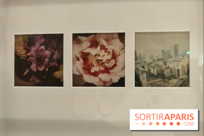 Polaraki, mille polaroids d'Araki Nobuyoshi : l'exposition du musée Guimet se dévoile - fotor 1759249760856