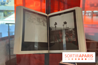 Polaraki, mille polaroids d'Araki Nobuyoshi : l'exposition du musée Guimet se dévoile - fotor 1759249817951