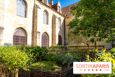 Les spectacles du dimanche de l'Abbaye de Royaumont dans le Val-d'Oise - A7C08416